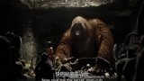 奇幻森林：猴子绑架熊孩子，带他见“美猴王”，这猴子成精了吧！