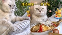 猫王：新年吃鱼，才能年年有余