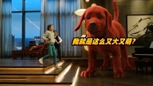 大红狗克里弗：狗狗被人抓去做解剖，小艾带领邻居救出狗狗？