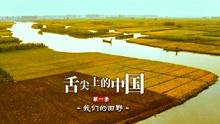 舌尖上的中国 第七集 我们的田野：来自乡野的珍味