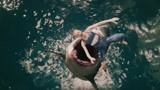 鲨口逃生：美女以为迎来生机，没想到成了鲨鱼的食物，太可怕了