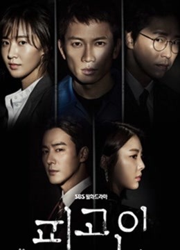 9集全被告人  高分韩剧2022简介:该剧主要讲述了被冤枉杀害妻子与女儿