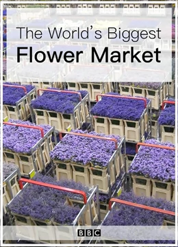 世界上最大的鲜花市场}