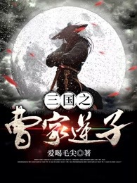 三国之曹家逆子