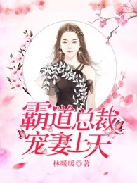 霸道总裁宠妻上天