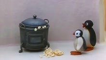 企鹅家族：企鹅竟然知道用玉米做爆米花，真是太聪明了