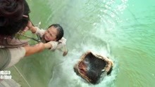 西游降魔篇：女儿掉进水里，母亲好不容易拉住，河妖一跃而起