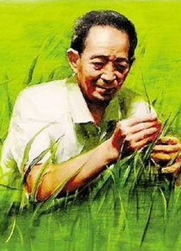 袁隆平和他的超级水稻（音频故事解读）