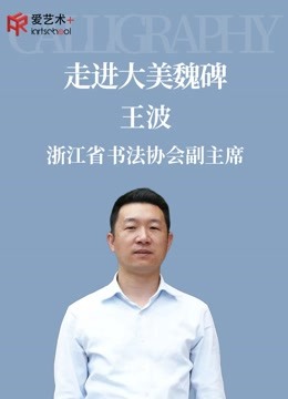 浙江省书法协会副主席王波教授—走进大美魏碑