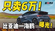 [图]曝光！比亚迪海鸥，只卖6万，新国民神车？