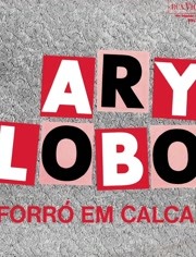 Ary Lobo - Forró Em Calcaia (Áudio Oficial)