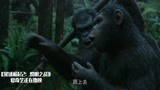 《猩球崛起2》猿王能口吐人言，大吼一声滚，吓得人类探险队腿软