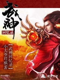 武神回忆录