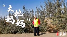 果然视频|家国梦：20年在沙漠种下千万棵树，易解放背后的故事