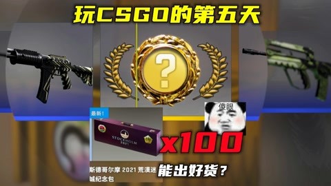 csgo荒漠迷城纪念包图片