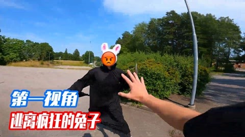 疯狂兔子跑酷图片