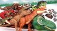 新来的各种新恐龙玩具朋友们