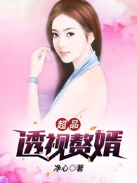超品透视赘婿
