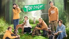 TOP DOG 2023-04-09