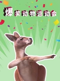 爆笑动物运动会}