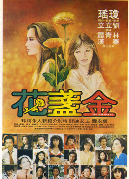 金盏花
