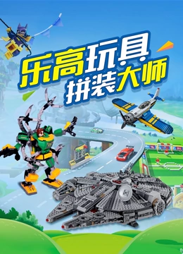乐高玩具拼装大师}