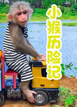 海报背景