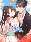 贺少的闪婚暖妻 动态漫画 第3季