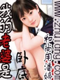 我的老婆是卧底