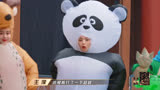 漂亮的战斗：杨超越cos熊猫，与网红青蛙赛跑，这小碎步太可爱了
