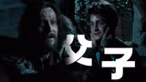 《哈利·波特3》小天狼星布莱克：我到最后也没能给哈利一个家