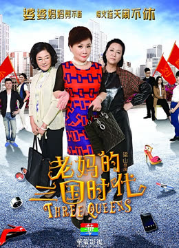 老妈的三国时代