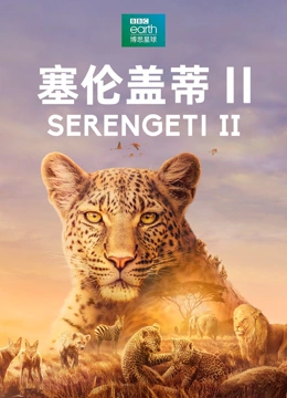 塞伦盖蒂2封面图