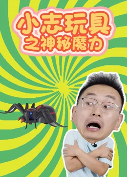 小志玩具之神秘魔力}