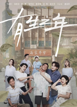 Record Of Youth (Korean TV Series, English Sub )