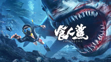 线上看 食人鲨 (2023) 带字幕 中文配音