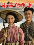 南海的早晨}