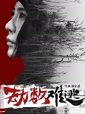 劫数难逃2019}