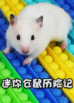 迷你仓鼠历险记}
