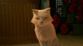 Tonton online EP1 The big raccoon cat showed its magical power and saved Chen Shi and others Sub Indo Dubbing Mandarin