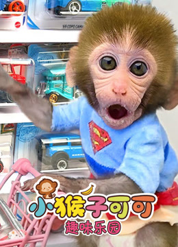 小猴子可可趣味乐园