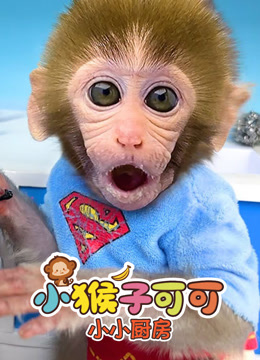 小猴子可可小小厨房