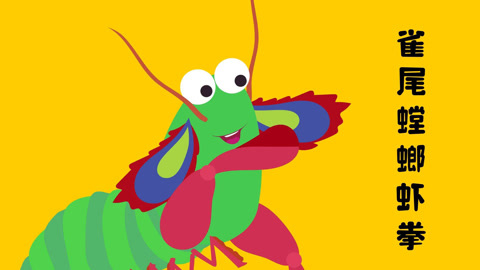 雀尾螳螂虾漫画图片