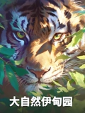 海报背景
