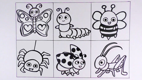 虎虎小画家 可爱的昆虫们