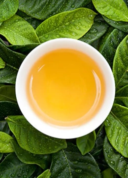 央视纪录频道《茶》第二集（精彩片段）}