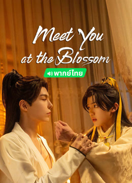 Watch the latest Meet You at the Blossom (Thai ver.) (2024) online with English subtitle for free English Subtitle