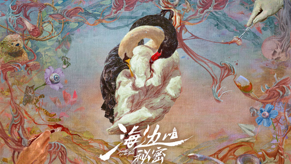 海邊的秘密