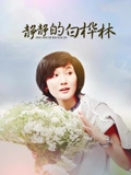 静静的白桦林}