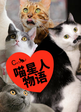 喵星人物语